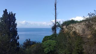 Οικόπεδο 387 τ.μ. για πώληση, Μεσσηνία, Αβία-thumb-12