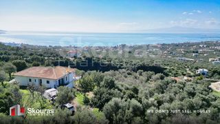 Μονοκατοικία 280 τ.μ. για πώληση, Μεσσηνία, Καλαμάτα-thumb-1