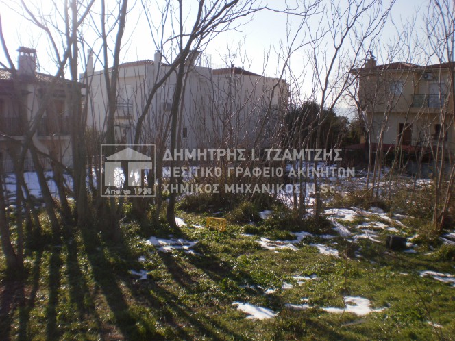 Οικόπεδο 1.015 τ.μ. πρός πώληση, Μαγνησία, Ιωλκός