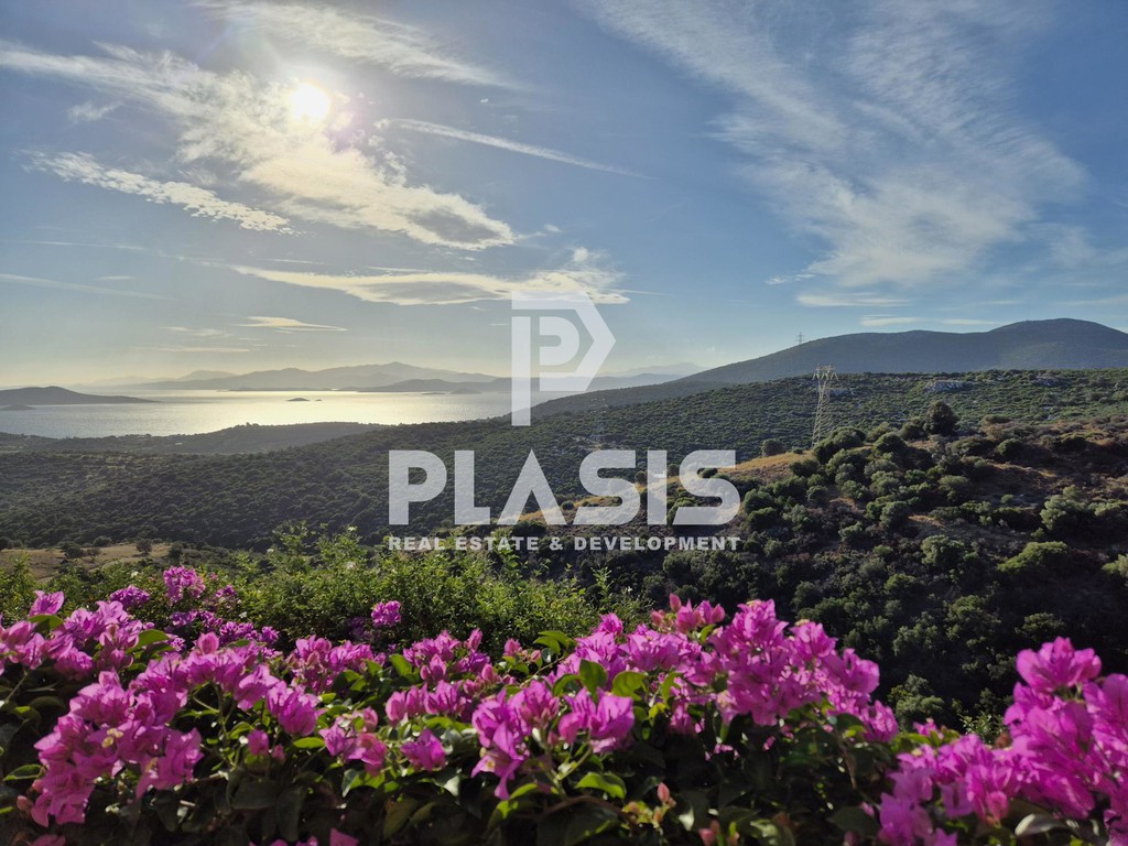 Ξενοδοχείο 1.300 τ.μ. προς πώληση, Νέα Στύρα