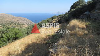 Αγροτεμάχια 4.720 τ.μ. για πώληση