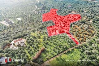 Οικόπεδο 15.243 τ.μ. για πώληση