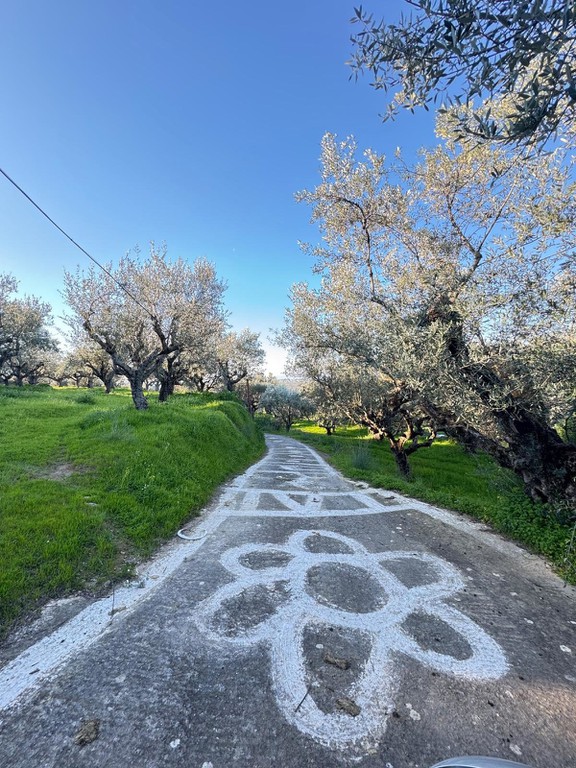 Οικόπεδο 985 τ.μ. προς πώληση, Αίθαια