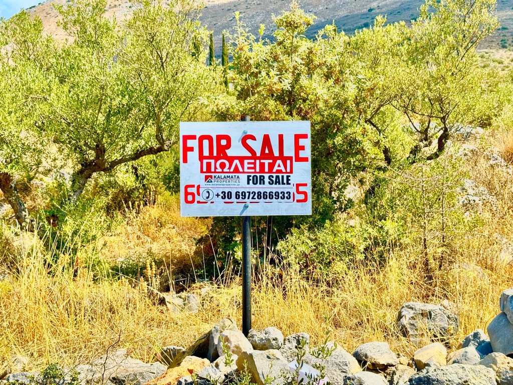 Οικόπεδο 4.350 τ.μ. πρός πώληση, Μεσσηνία, Λεύκτρος