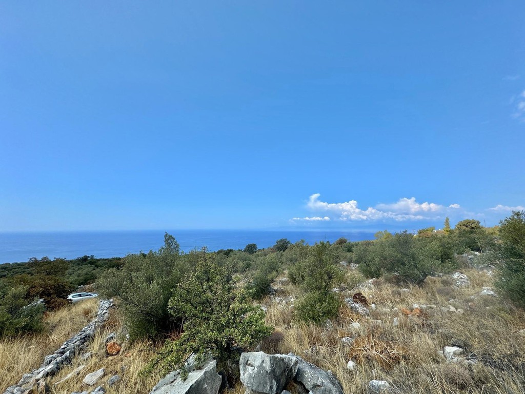 Οικόπεδο 4.350 τ.μ. πρός πώληση, Μεσσηνία, Λεύκτρος