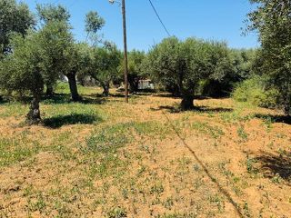 Οικόπεδο 1.325 τ.μ. για πώληση
