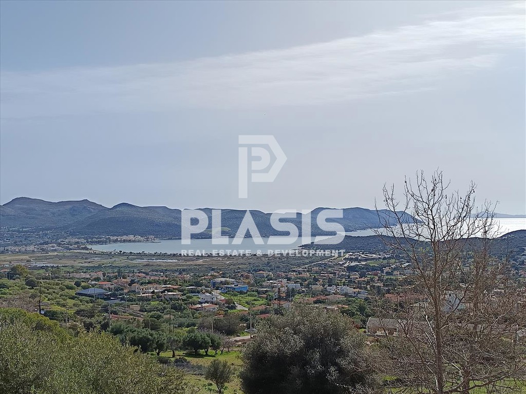 Μονοκατοικία 260 τ.μ. προς ενοικίαση, Σαρωνίδα Αττικής