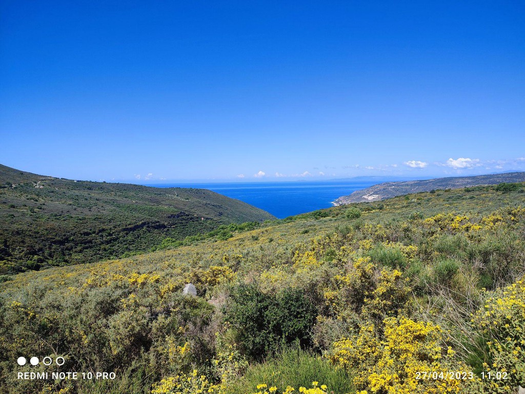 Οικόπεδο 20.000 τ.μ. πρός πώληση, Λακωνία, Οίτυλος