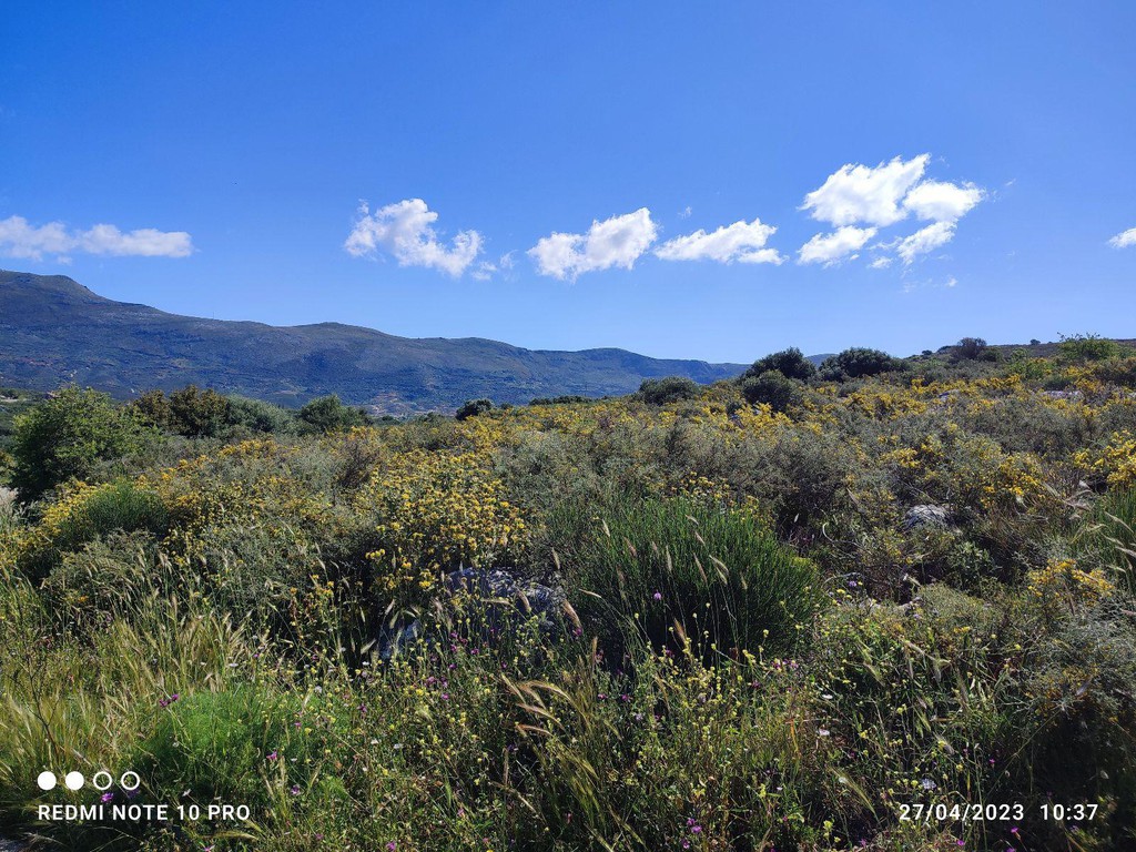 Οικόπεδο 20.000 τ.μ. πρός πώληση, Λακωνία, Οίτυλος