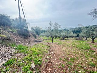 Οικόπεδο 4.051 τ.μ. για πώληση