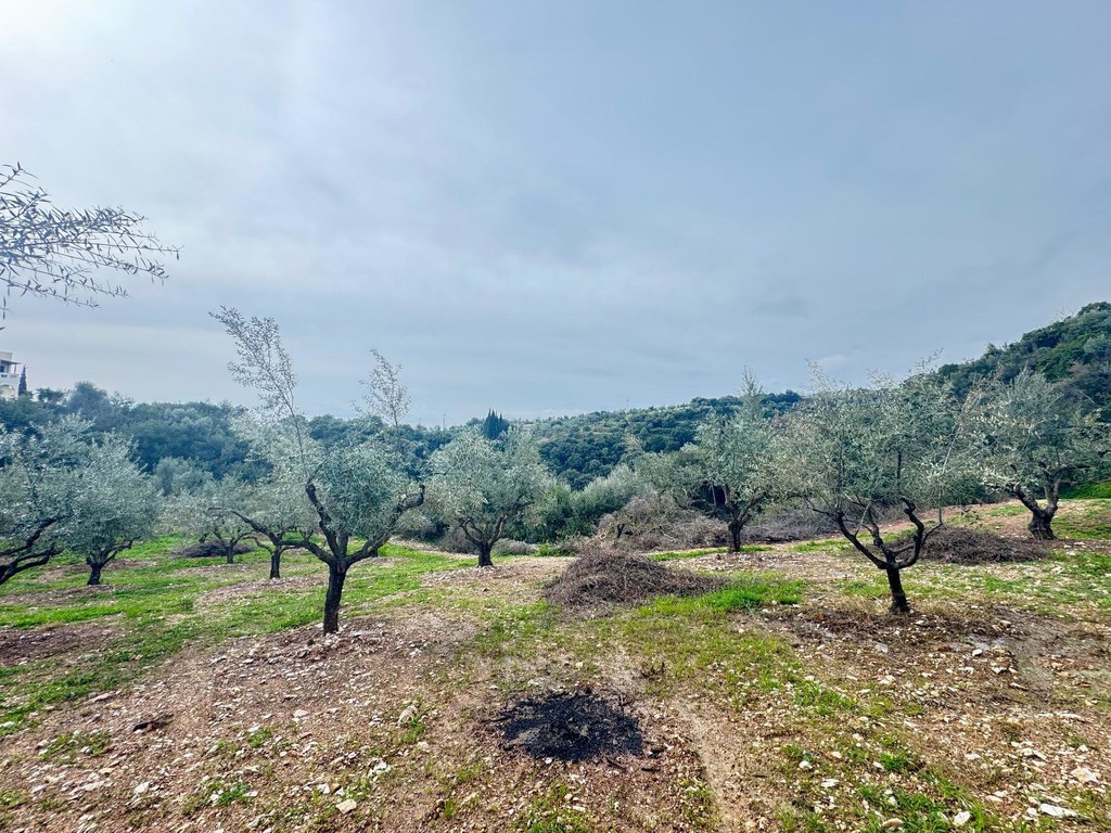 Οικόπεδο 4.051 τ.μ. πρός πώληση, Μεσσηνία, Αίπεια