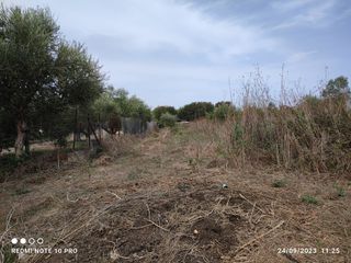 Αγροτεμάχια 7.200 τ.μ. για πώληση, Μεσσηνία, Καλαμάτα-thumb-1