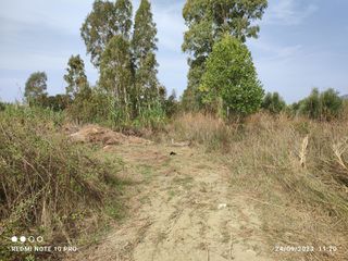 Αγροτεμάχια 7.200 τ.μ. για πώληση