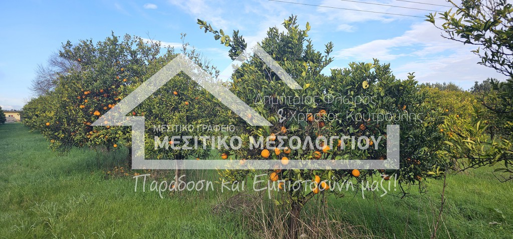Αγροτεμάχια 25.501 τ.μ. προς πώληση, Αιτωλοακαρνανία, Αιτωλικό