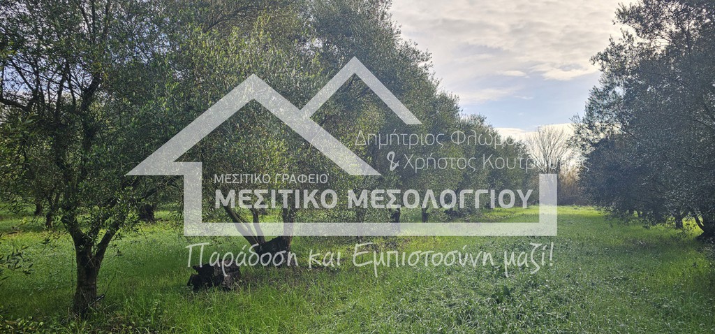 Αγροτεμάχια 25.501 τ.μ. προς πώληση, Αιτωλοακαρνανία, Αιτωλικό