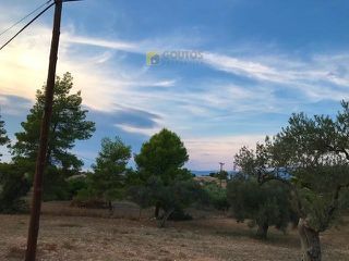 Αγροτεμάχια 6.250 τ.μ. για πώληση, Αργολίδα, Κρανίδι-thumb-15