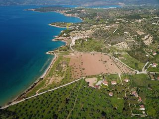 Αγροτεμάχια 6.250 τ.μ. για πώληση, Αργολίδα, Κρανίδι-thumb-18