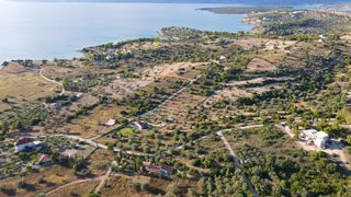 Αγροτεμάχια 6.250 τ.μ. για πώληση, Αργολίδα, Κρανίδι-thumb-2
