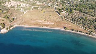 Αγροτεμάχια 6.250 τ.μ. για πώληση, Αργολίδα, Κρανίδι-thumb-20