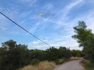Αγροτεμάχια 6.250 τ.μ. για πώληση, Αργολίδα, Κρανίδι-thumb-10