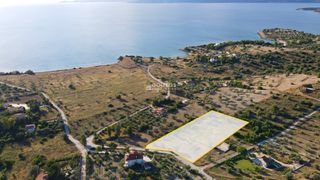 Αγροτεμάχια 6.250 τ.μ. για πώληση