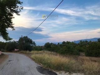 Αγροτεμάχια 6.250 τ.μ. για πώληση, Αργολίδα, Κρανίδι-thumb-13