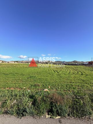 Αγροτεμάχια 8.000 τ.μ. για πώληση, Αττική - Υπόλοιπο, Κερατέα
