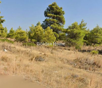 Αγροτεμάχια 275 τ.μ. προς πώληση