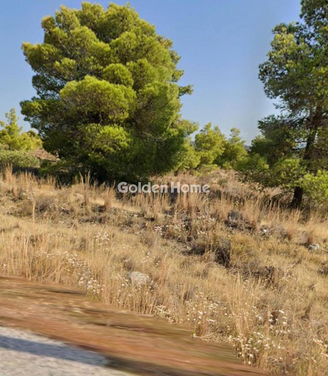 Αγροτεμάχια 275 τ.μ. προς πώληση, Κέντρο Λουτρακίου-Περαχώρας