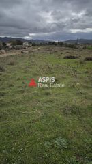Οικόπεδο 4.376 τ.μ. για πώληση