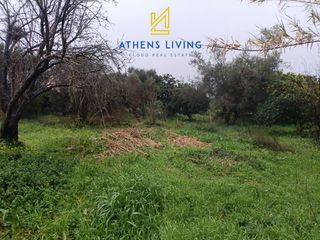 Οικόπεδο 1.788,62 τ.μ. για πώληση