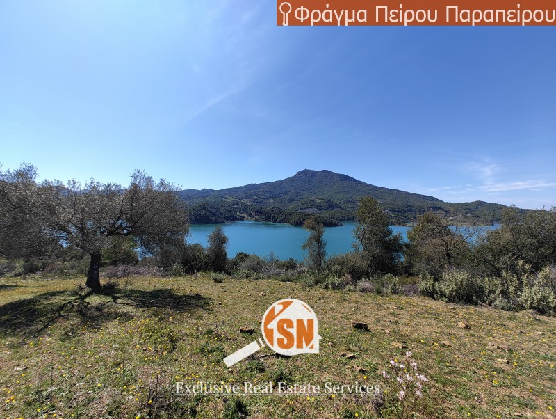 Οικόπεδο 48.000 τ.μ. προς πώληση, Τόσκες