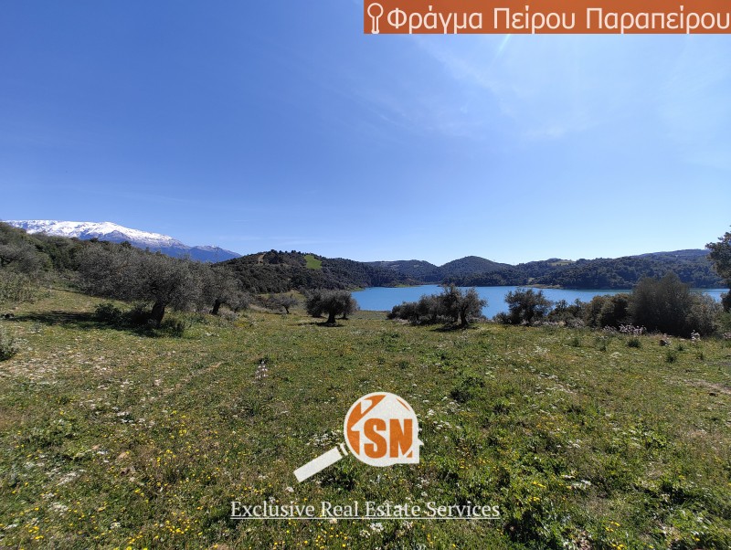 Οικόπεδο 48.000 τ.μ. προς πώληση, Τόσκες