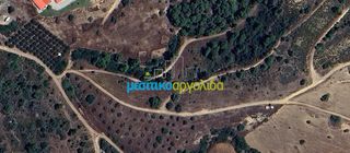 Αγροτεμάχια 15.000 τ.μ. για πώληση, Αργολίδα, Κρανίδι-thumb-1