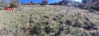 Οικόπεδο 5.434 τ.μ. για πώληση, Αχαΐα, Λεόντιο-thumb-6