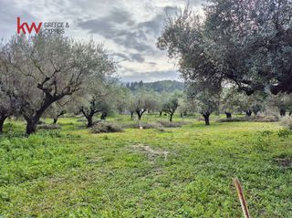 Οικόπεδο 1.400 τ.μ. για πώληση