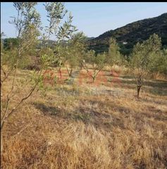 Οικόπεδο 4.010 τ.μ. για πώληση, Αττική - Υπόλοιπο, Αυλώνα-thumb-1