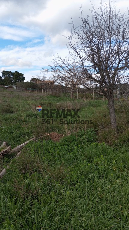 Αγροτεμάχια 4.000 τ.μ. πρός πώληση, Αττική - Υπόλοιπο, Μαρκόπουλο