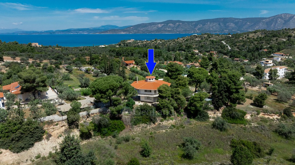 Μονοκατοικία 200 τ.μ. προς πώληση, Θυνί