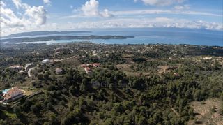 Αγροτεμάχια 4.129 τ.μ. για πώληση, Αργολίδα, Κρανίδι-thumb-21