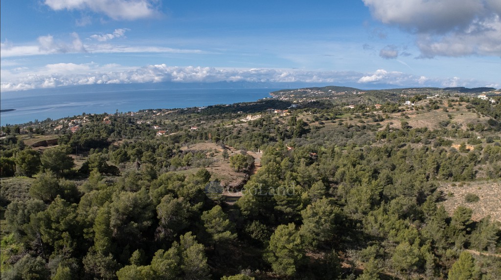Parcel 4.129 sqm for sale, Argolis, Kranidi