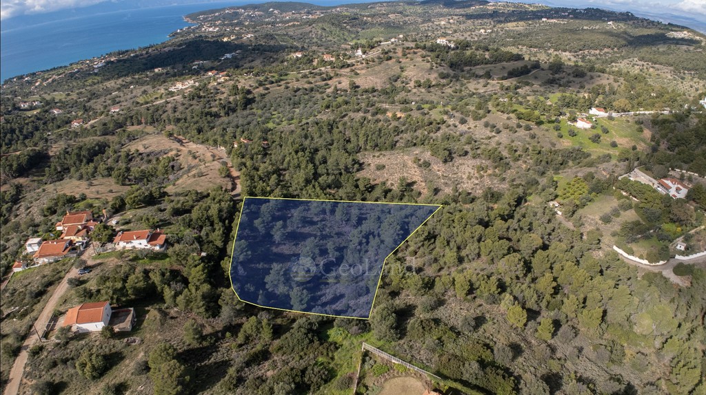 Parcel 4.129 sqm for sale, Argolis, Kranidi