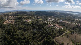 Αγροτεμάχια 4.129 τ.μ. για πώληση, Αργολίδα, Κρανίδι-thumb-17