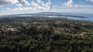 Αγροτεμάχια 4.129 τ.μ. για πώληση