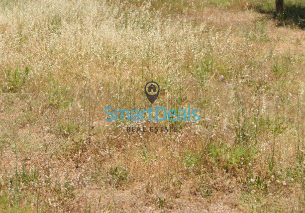 Οικόπεδο 400 τ.μ. για πώληση, Αθήνα - Ανατολικά Προάστια, Σπάτα