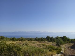 Αγροτεμάχια 5.393 τ.μ. για πώληση