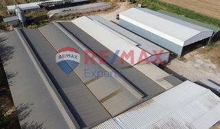 Βιομηχανικός χώρος 3.850 τ.μ. προς πώληση, Αργολίδα, Άργος-thumb-2