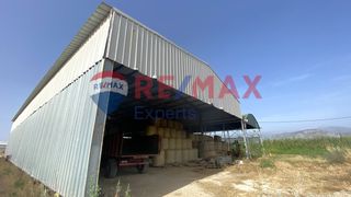 Βιομηχανικός χώρος 3.850 τ.μ. προς πώληση, Αργολίδα, Άργος-thumb-3