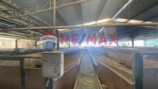 Βιομηχανικός χώρος 3.850 τ.μ. προς πώληση, Αργολίδα, Άργος-thumb-7