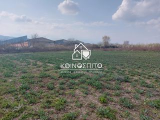 Αγροτεμάχια 2.500 τ.μ. για πώληση
